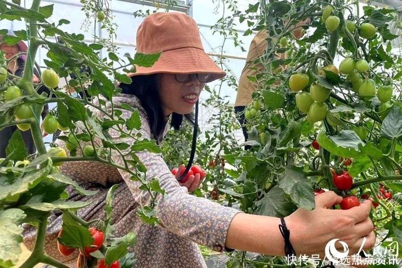 临海果蔬批发：寻找新鲜美味的秘诀