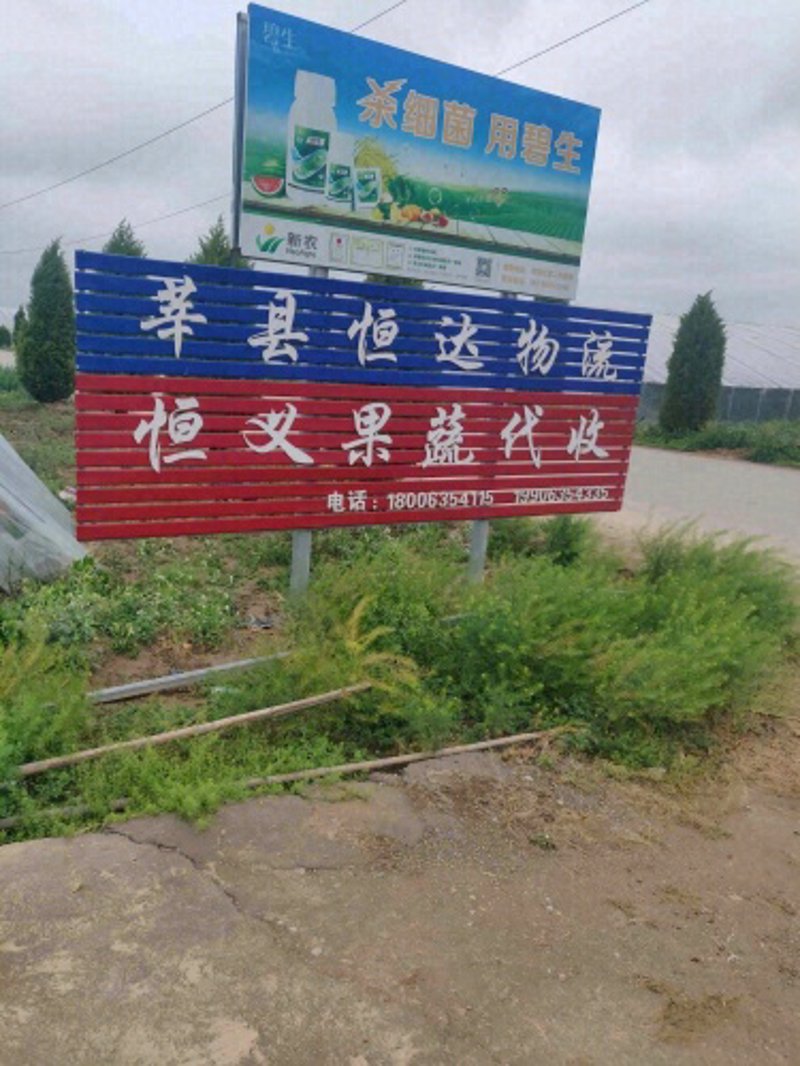 无公害蔬菜，怎样选择？如何辨别？